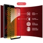 Скло захисне Intaleo Full Glue ZTE Blade A52 Black (1283126545511) - зменшене зображення 7