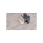 Іграшка для котів Trixie М'ячі з пір'ям на пружинах 15 x 30 см (4011905407210) - зменшене зображення 2