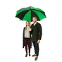 Зонт Fulton Cyclone S837 Black Green (S837-025284) - уменьшенное изображение 2