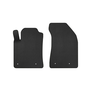 Килимок в салон EVAtech передні Fiat Bravo (Type 198) 2007-2014 2 (FT22216AV2FL4RBB) зображення 1