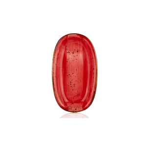 Блюдо By Bone Harmony Ardent овальне 24 х 14 см (HA-AD-ZT-24-OV) зображення 1