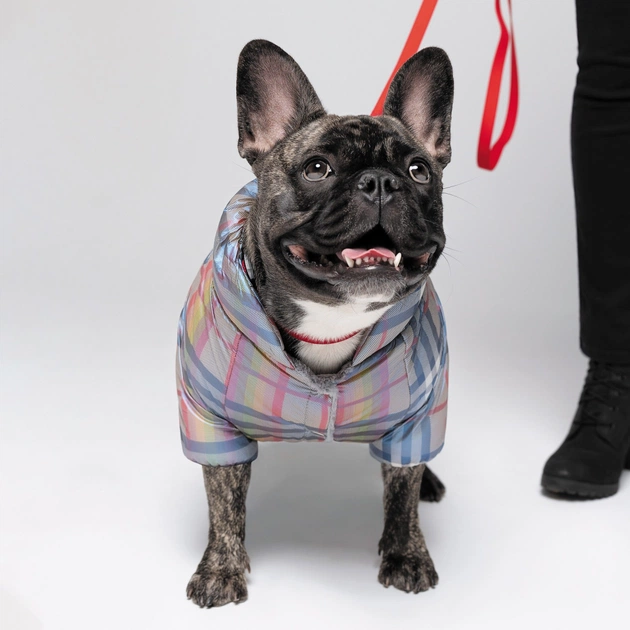 Комбінезон для тварин Pet Fashion INDIGO S2 (клітинка) (4823082428946) - изображение 1