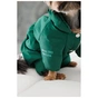 Комбинезон для животных Pet Fashion EGO М2 зеленый (4823082437740) - уменьшенное изображение 5