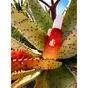 Гель для вмивання Yope Wake Up Cheers Pear + Chardonnay Face Wash 150 мл (5903760200374) - зменшене зображення 3