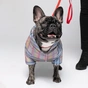 Комбінезон для тварин Pet Fashion INDIGO S2 (клітинка) (4823082428946) - зменшене зображення 1