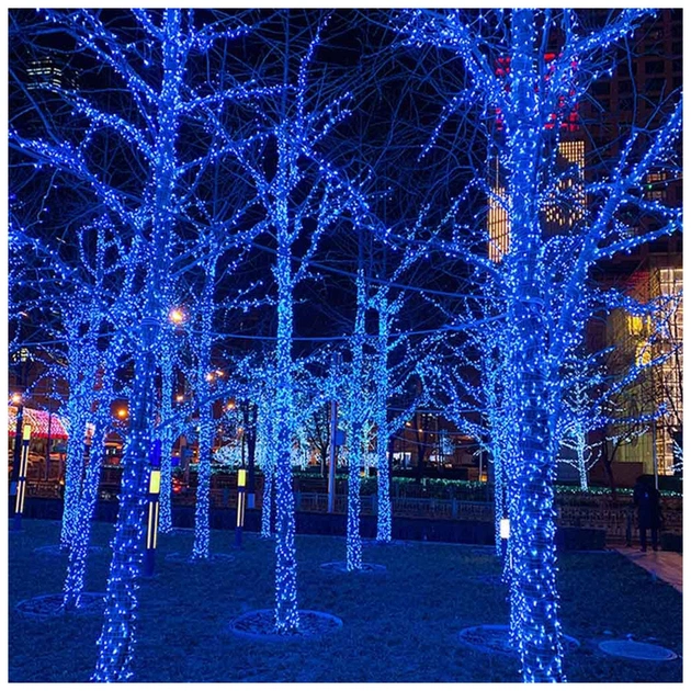 Гірлянда ColorWay IP65 10м 100Led блакитне світло (CW-GO-100L10BL) - picture 10