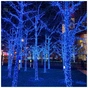 Гірлянда ColorWay IP65 10м 100Led блакитне світло (CW-GO-100L10BL) - зменшене зображення 10