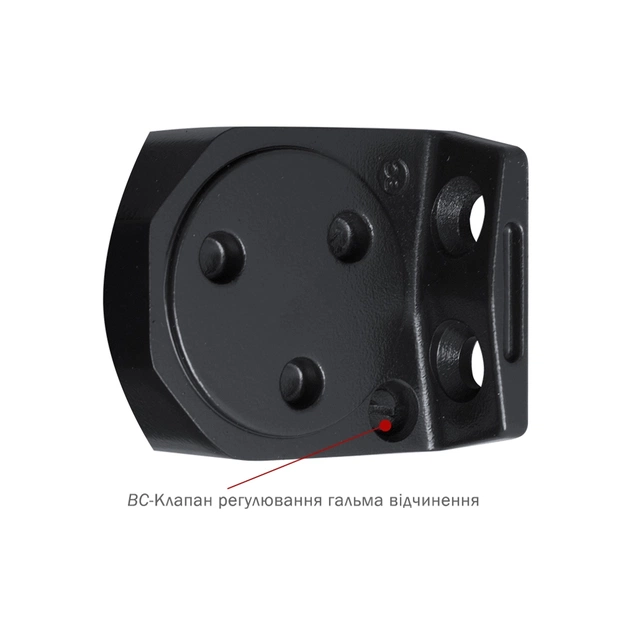 Доводчик двері Ryobi D-2055V BLACK - picture 5