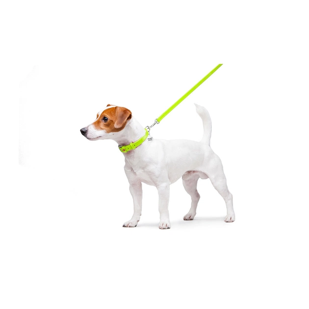 Повідець для собак WAUDOG Glamour шкіряний XS салатовий (33725) - зображення 3