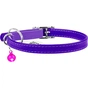 Нашийник для тварин WAUDOG Glamour з QR паспортом Д 17-20 см фіолетовий (32759) - зменшене зображення 2