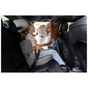 Автокрісло Bebe Confort Road Safe i-Size Full Grey (8102302210) - уменьшенное изображение 7