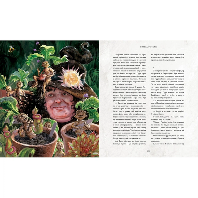 Книга Гаррі Поттер і таємна кімната. Велике ілюстроване видання - Джоан Ролінґ А-ба-ба-га-ла-ма-га (9786175851135) - зображення 3