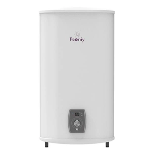 Бойлер Peoniy Sanremo P-EVH-80RI зображення 1