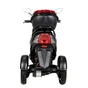 Електроскутер Atlas Falcon Trike Box 1500W Black (4014) - зменшене зображення 5