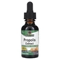Травы Nature's Answer Экстракт прополиса без спирта, 1000 мг, Propolis Extract, 30 мл (NTA-00657) - уменьшенное изображение 1