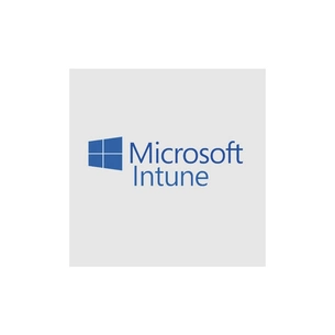 Офісний додаток Microsoft Intune Storage Add-on P1Y Annual License (CFQ7TTC0LCH4_0006_P1Y_A) зображення 1