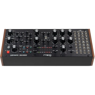 Синтезатор Moog Music Labyrinth (240984) зображення 1