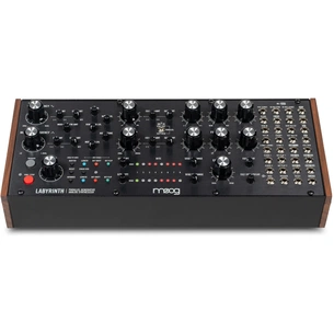 Синтезатор Moog Music Labyrinth (240984) изображение 1