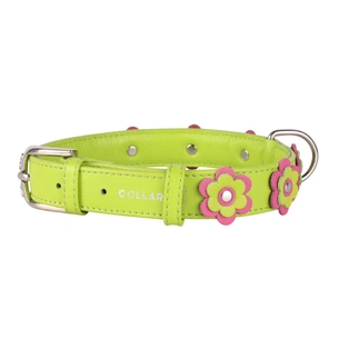 Нашийник для тварин Collar GLAMOUR з оздобленням "Аплікація" Ш 25 мм Д 38-49 см салатовий (35035) зображення 1
