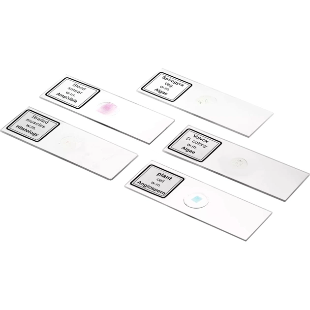 Мікроскоп Bresser Biolux DLX 20x-1280x (5014000) (931424) - зображення 5