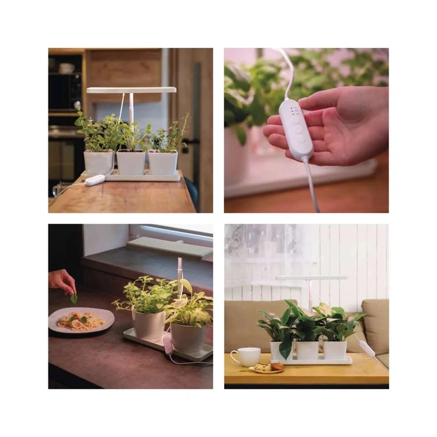 Настільна лампа EMOS LED лампа для рослин 7 W з таймером (Z7904) - picture 12