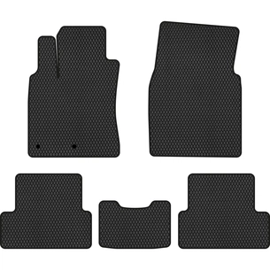 Килимок в салон EVAtech Nissan Qashqai (J10) 2006-2013 1 покоління (NS32056C5RN2RBB) зображення 1