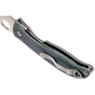 Ніж Spyderco Polestar (C220GPGY) - зменшене зображення 6