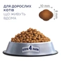 Сухий корм для кішок Club 4 Paws Преміум. Для кішок, які живуть в приміщенні 4 в 1 14 кг (4820083909436) - зменшене зображення 4