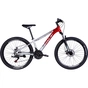 Велосипед Space 26" Phaeton AM DD рама-13" Al сріблясто-червоний 2025 (OPS-SP-26-045) - зменшене зображення 1