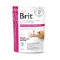 Сухий корм для собак Brit GF VetDiets Hypoallergenic Hydrolyzed 400 г (8595602573585) - зменшене зображення 1