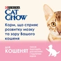 Сухий корм для кішок Purina Cat Chow Kitten з куркою 1.5 кг (5997204513984) - уменьшенное изображение 6