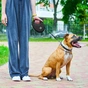 Повідець для собак WAUDOG R-leash з контейнером для пакетів S до 12 кг 3 м чорний (26281) - зменшене зображення 7