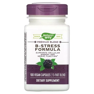 Вітамін Nature's Way Стрес формула В-Комплекс, преміум-суміш, B-Stress Formula, 100 (NWY-40631) зображення 1