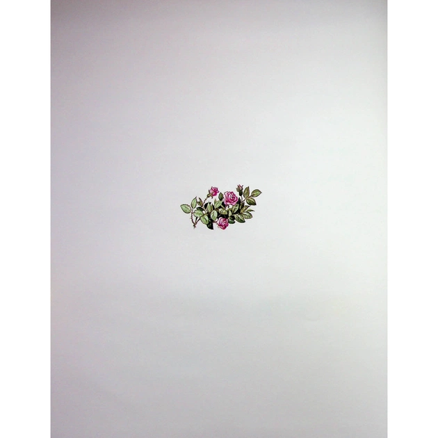 Книга Велика книга про фей і принцес - Пітер Холейнон Vivat (9786171704756) - picture 5