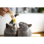 Паста для тварин GimCat DUO PASTE Multi-vitamin 12 vitamins with cheese 12 вітамінів та сир 50 г (4002064421841) - уменьшенное изображение 4