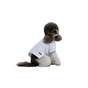 Футболка для животных Pet Fashion Polo М (4823082446407) - уменьшенное изображение 2