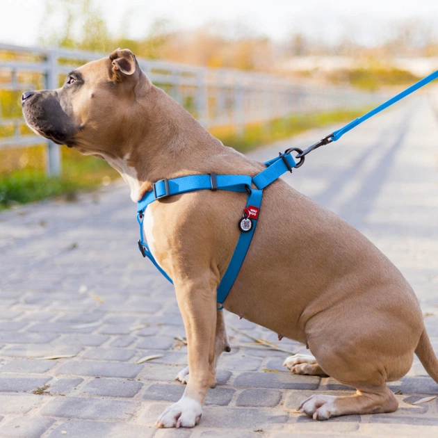 Шлея для собак WAUDOG Waterproof з QR-паспортом S Ш 15 мм Д 40-55 см блакитна (27642) - picture 4