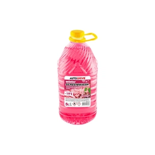 Омивач автомобільний AUTO DRIVE WINTER SCREEN WASH CHERRY -19 °С, ПЕТ 5 л (AD0142) picture 1