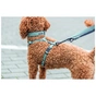Шлея для собак Trixie CityStyle H-harness Бавовна S–M 42–60 см 15 мм Світло-зелена (4053032682610) - зменшене зображення 3