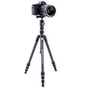 Штатив Vanguard Vesta TB 204CB (DAS301490) - preview 6