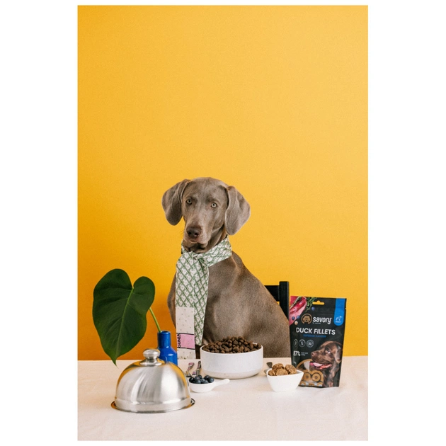 Ласощі для собак Savory Fillet Turkey With Duck 100 г (4820261921151) - picture 8