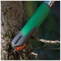 Ніж Opinel 12 Explore Tick Remover Green (002489) - зменшене зображення 7