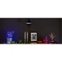 Гірлянда Twinkly Smart LED Strings RGBW 250, BT + WiFi, Gen II, IP44 (TWS250SPP-BEU) - зменшене зображення 10