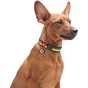 Нашийник для тварин WAUDOG Nylon з QR паспортом Colors of freedom металева пряжка-фастекс M (4506-4020) - зменшене зображення 5
