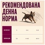 Вологий корм для кішок Carnilove Gravy Rabbit with Marigold Kitten 85 г (8595602584697) - зменшене зображення 4