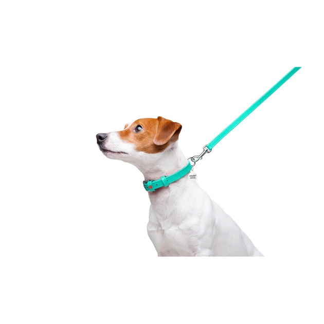 Повідець для собак WAUDOG Glamour шкіряний XS ментоловий (337213) - зображення 5