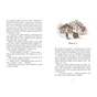 Книга Тінке і Ларус - Сесіль Бедкер Ранок (9786178775506) - зменшене зображення 12