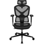 Крісло для геймерів TX3 YTC Mesh Black (TEGC-3065001.11) - зменшене зображення 1
