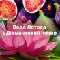 Кондиціонер для білизни Lenor Діамантовий інжир та вода лотоса 1200 мл (8006540909300) - зменшене зображення 7