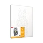 Картина по номерам Rosa Start Fashion Cat 35х45 см (N00013266) (4823098514275) - зменшене зображення 2